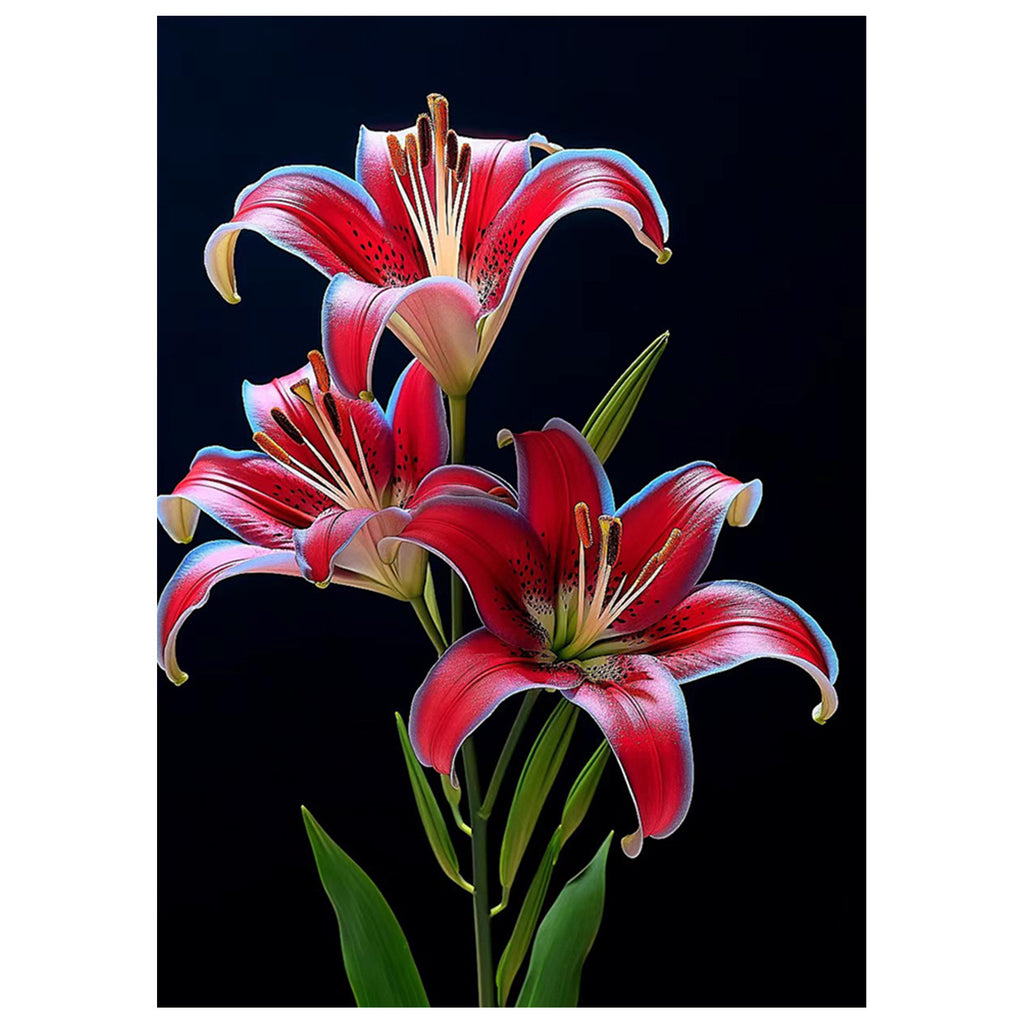 DIY diamond painting full diamond 5D